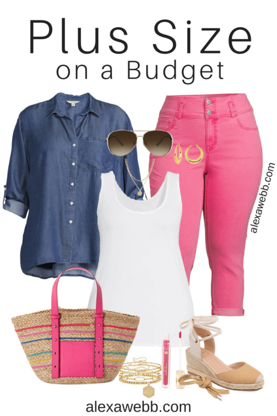 Plus Size on a Budget - Pink Crops Outfits - Alexa Webb